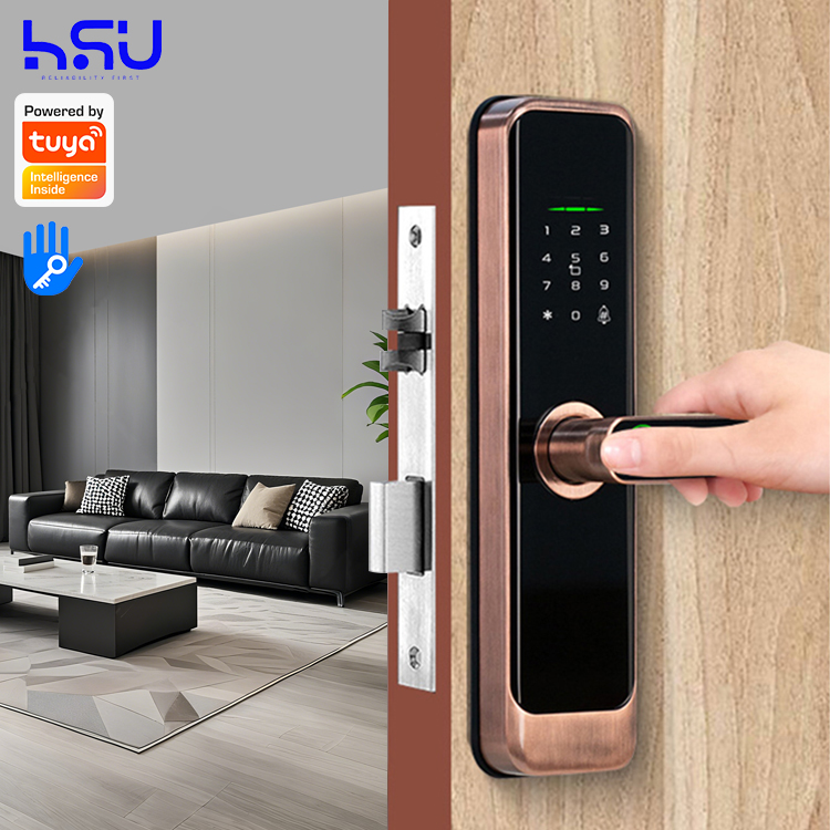 Home Security Electronics - Dijital Akıllı Kapı Kilidi Şifreli Ev