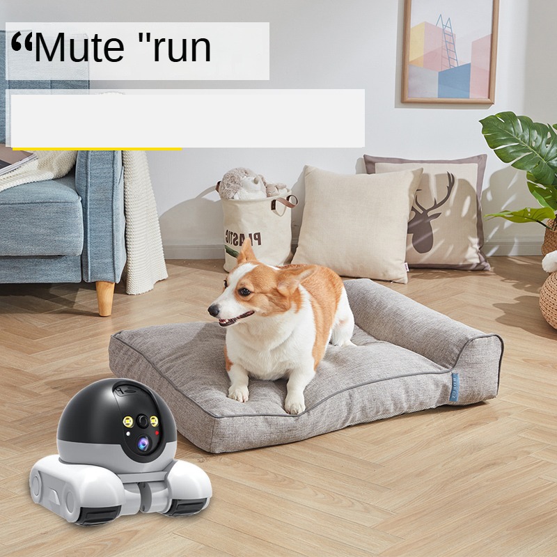 Akıllı Çift Lens IP Dome Robot - Home Security Robot Dog incelemesi ve fiyatı