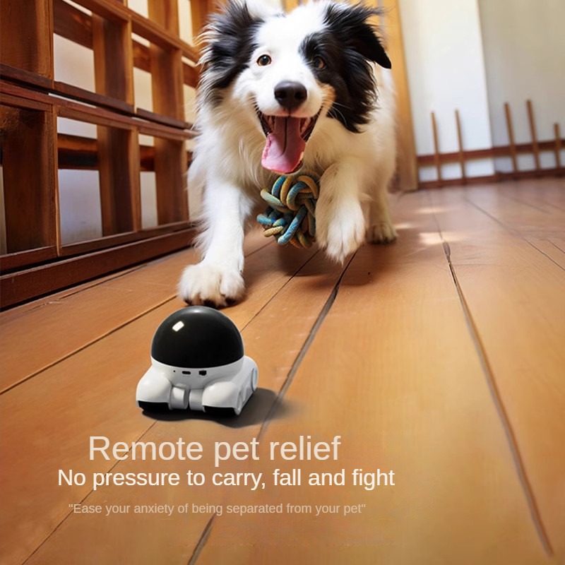 Akıllı Çift Lens IP Dome Robot - Home Security Robot Dog incelemesi ve fiyatı
