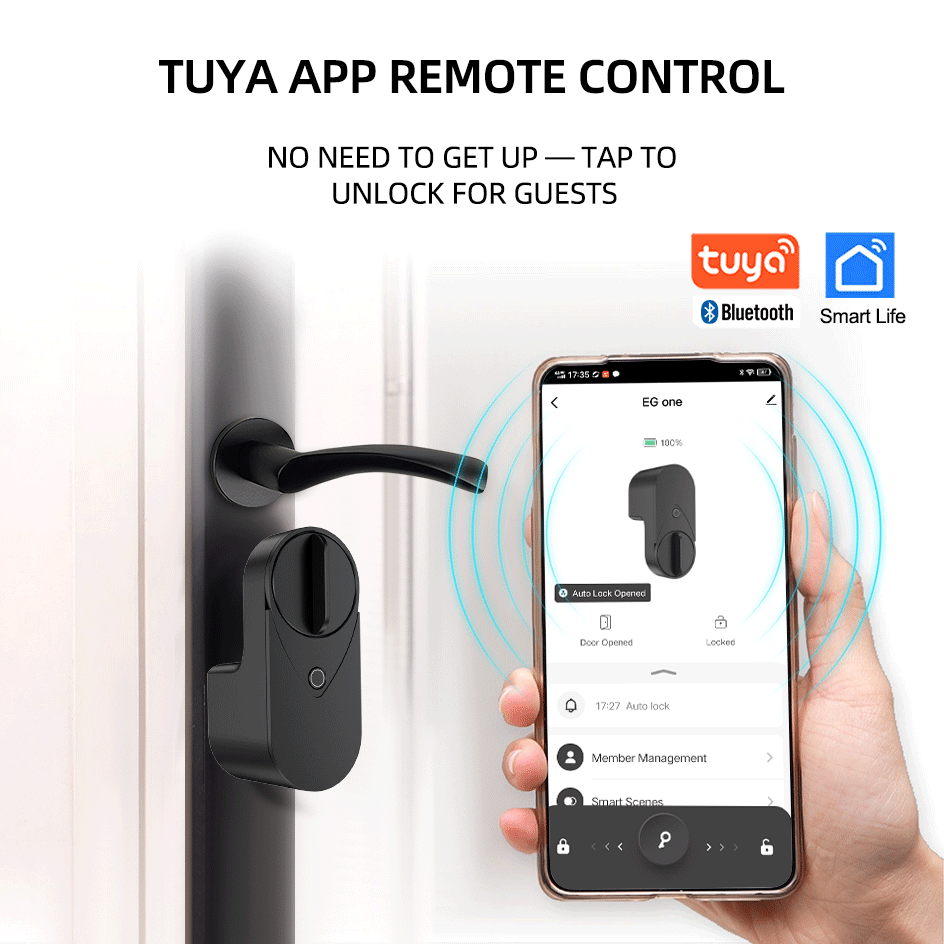 RAYKUBE EG One Tuya BLE Akıllı - Home Security Keypad incelemesi ve fiyatı